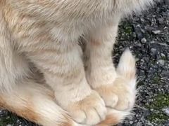 -好成财牛排馆(涂门街总店)