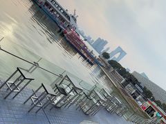 -吉丁鸟咖·异宠·寄养