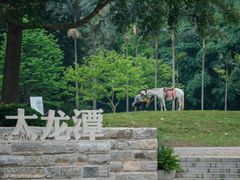 -深圳龙潭公园