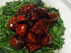 草头圈子-沪依小酒馆心意菜