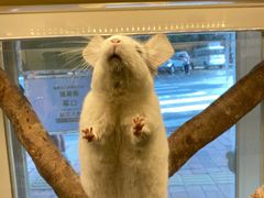 -龙猫仔乐园(惠福东路店)