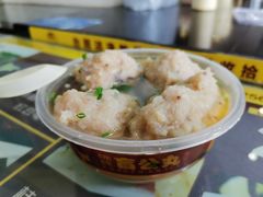 -无影脚佛山陈氏盲公丸始创店(飞鸿街店)