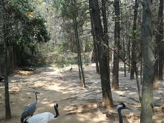 -鄱阳湖国家湿地公园