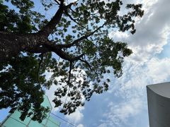 -芳村(地铁站)