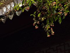-东山雕花楼