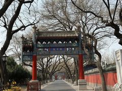 -北京国子监胡同