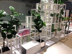 -叶子与茶(苏宁广场店)