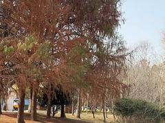 -同里国家湿地公园
