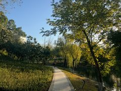 -洋湖国家湿地公园