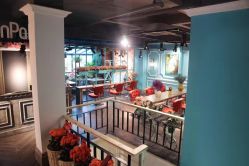 点击看大图 -金棕榈