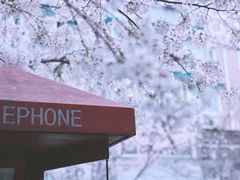 -永乐路-路侧停车场