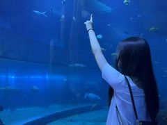 -长春中泰海洋世界