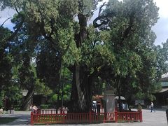 -黄帝陵