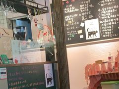 -喵屿·大理花园猫咖