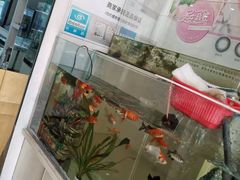 -鑫亮视光·蔡司品牌折扣店·配镜(哈工大科学园店)