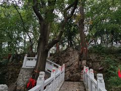 -宝通禅寺