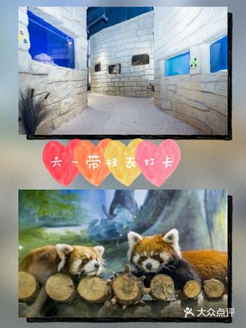 六一快带孩子来游玩吧团购优惠超划算！