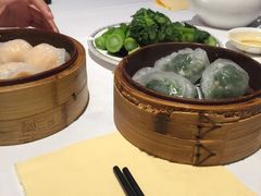 -同乐轩港式早茶
