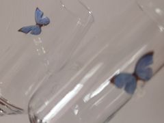 -利星行天竺之星汽车有限公司
