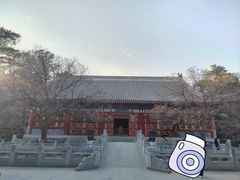 -香山公园