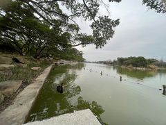 -江心屿景区