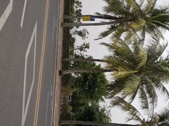 -霞山观海长廊