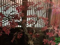 -解家河南菜(金水路店)