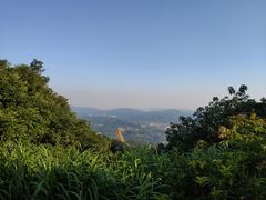 -广州市帽峰山景区