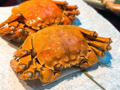 -松鹤精致料理(五一中路店)