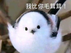 -每食每刻·皖北新民地锅鸡