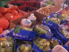 -四季水果蔬菜园(闽江路店)