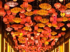 -淹城春秋乐园