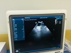 -美联众合动物医院(·中兽医·疑难杂症·严家桥分院)