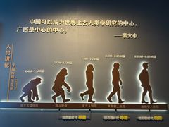 -广西壮族自治区博物馆