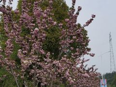 -幕燕滨江·长江观音景区