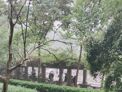-音乐台