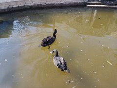 -南宫五洲植物乐园