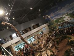 -自贡恐龙博物馆