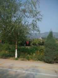 -窦王岭景区游乐场