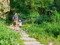 -素山寺森林公园
