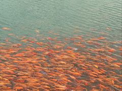 -楠溪江风景名胜区