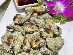 -东江海鲜大排档·潮汕菜·砂锅粥
