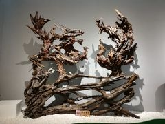 -吉林市博物馆