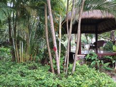 -三亚珠江南田温泉度假区