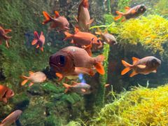 -太平洋海底世界