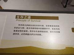 -陕西自然博物馆