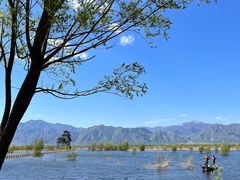 -野鸭湖国家湿地公园
