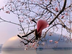 -国家大剧院