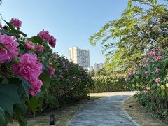 -广西壮族自治区药用植物园