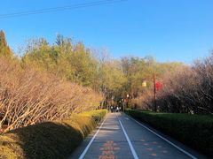 -古塔公园